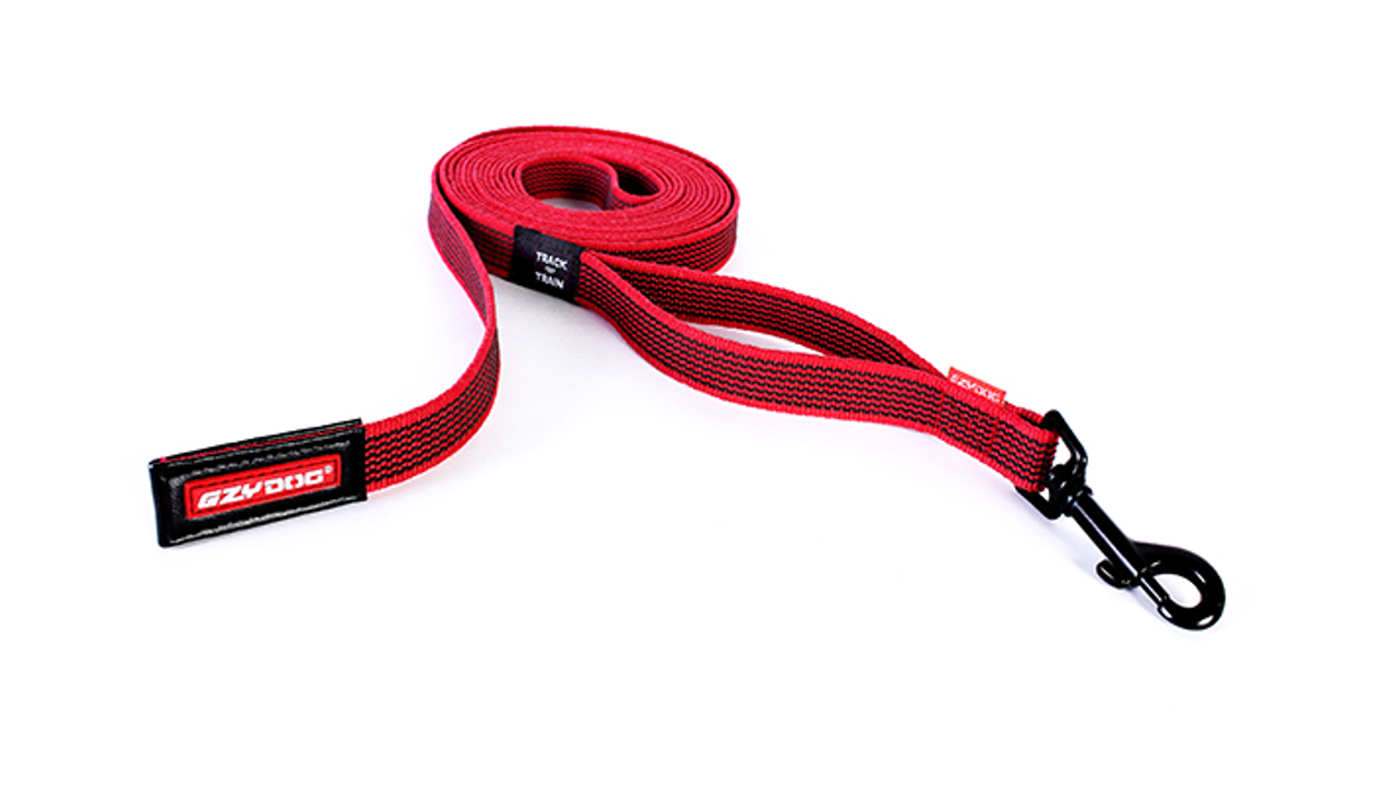 EzyDog Leash Track’n Train 5m longline