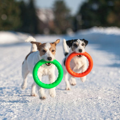 PitchDog Fetch Ring-Toy-Distripet-Midi 20cm-Blue-Shine Pets
