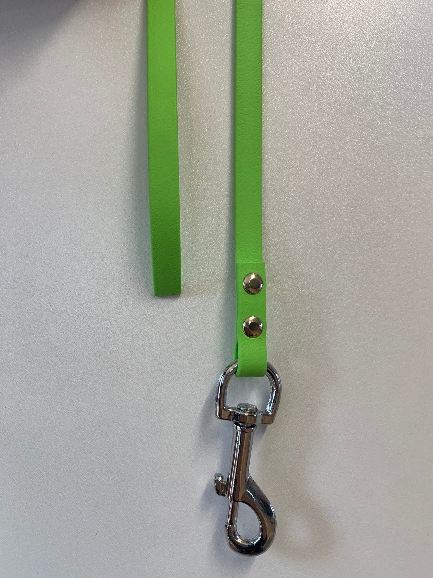 BioThane "Catch" Dog Lead (13mm)