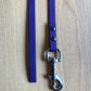 BioThane "Catch" Dog Lead (13mm)