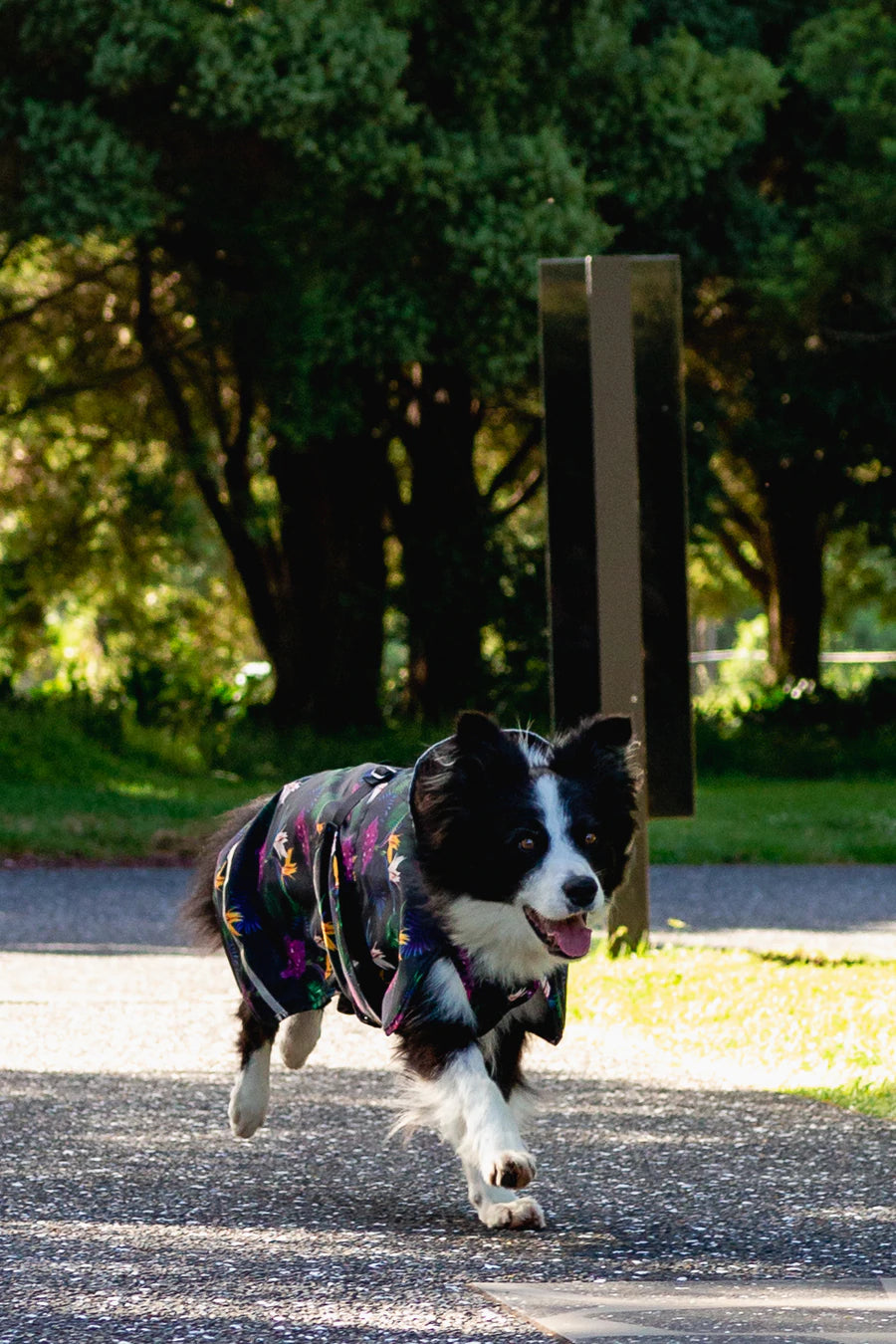 Dog Raincoat - Scribbler Pets "Paradiso"
