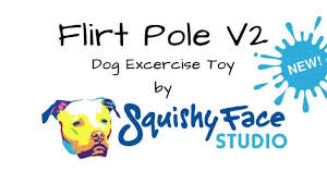 Dog Flirt Pole V2 (Squishy Face Studio)