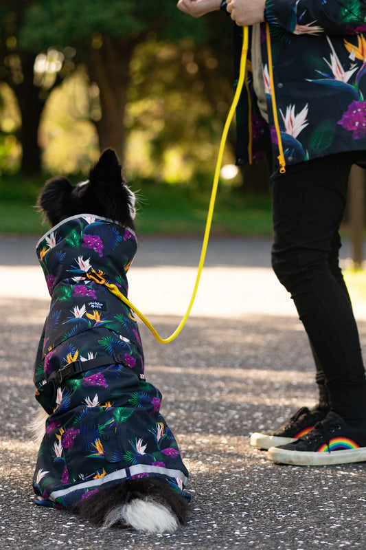 Dog Raincoat - Scribbler Pets "Paradiso" (stocked)
