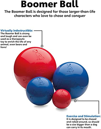 Boomer Ball - Puncture Proof Dog Toy-Toy-Petware-110mm (4 inch)-Shine Pets