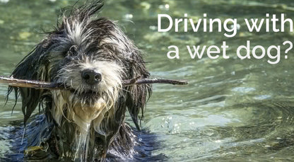 Waterproof Car Seat or Couch Cover