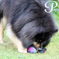 Puppingtons Pods - Food Training Toy