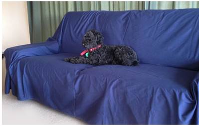 WATERPROOF FLAT SHEETS – FOR PETS (from Brolly Sheets)