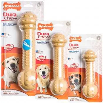 Nylabone Durachew Barbell (Peanut Butter flavour)-Chew-Brooklands-Wolf (up to 16kg)-Shine Pets