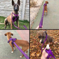 Reflective Dog Leash - True Love