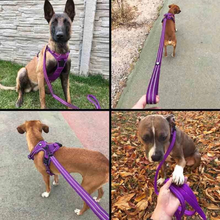 Reflective Dog Leash - True Love-The Proud Pet Store-Purple-Small (1.5cm)-110cm Standard Lead-Shine Pets