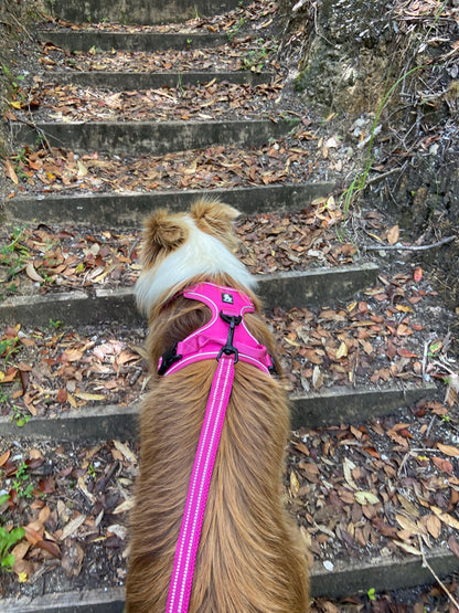 Adjustable Dog Harness - True Love