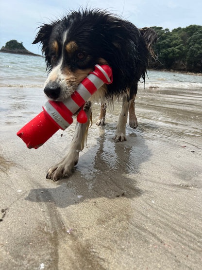ROGZ Lighthouse - water fetch toy