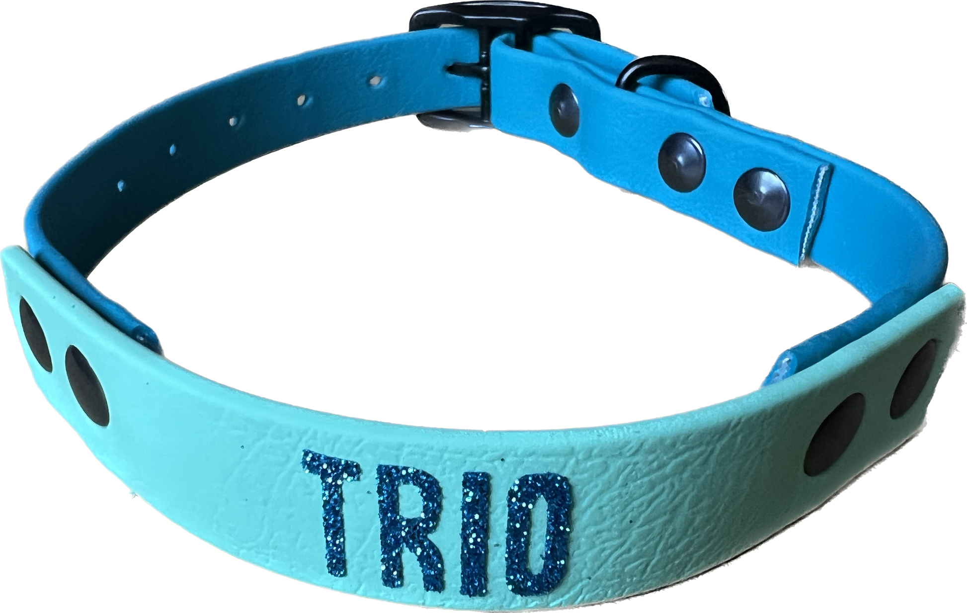 BioThane Dog Collar Custom Mix It Up TWO Widths and or TWO Colours