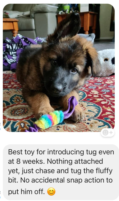 Bungee Handle Dog Training Tug Toy – Interactive Reward Toy for Dogs