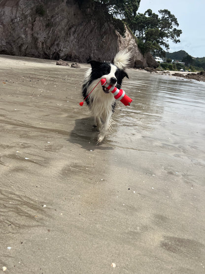 ROGZ Lighthouse - water fetch toy