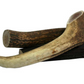 Deer Antler