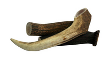Deer Antler