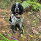BioThane Dog Longline/Dragline/Scentline