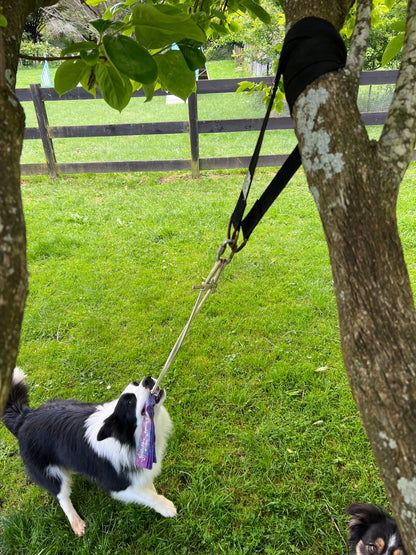 SUPER TUG - Dog exercise toy from Squishy Face Studio