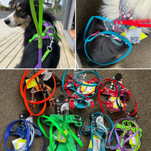 BioThane Lead-Accessories-Shine Canine-1.2m-13mm-Shine Pets