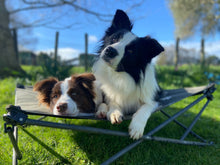 Folding/Camping Dog Bed - Outdoor Connection-Accessories-Outdoor Connection-Small-Shine Pets