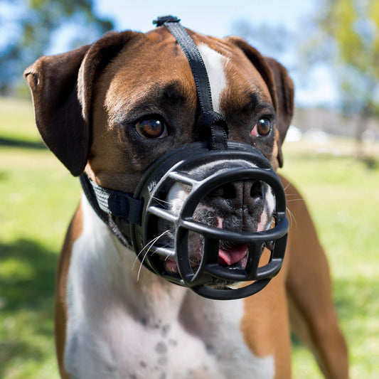 Baskerville Ultra Muzzle-Accessories-Petware-Size 1 Black-Shine Pets