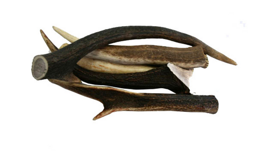Deer Antler-Chew-Brooklands-Small (less than 95 grams)-Shine Pets