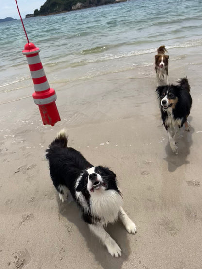 ROGZ Lighthouse - water fetch toy