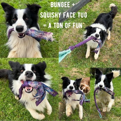 Bungee Handle Dog Training Tug Toy – Interactive Reward Toy for Dogs
