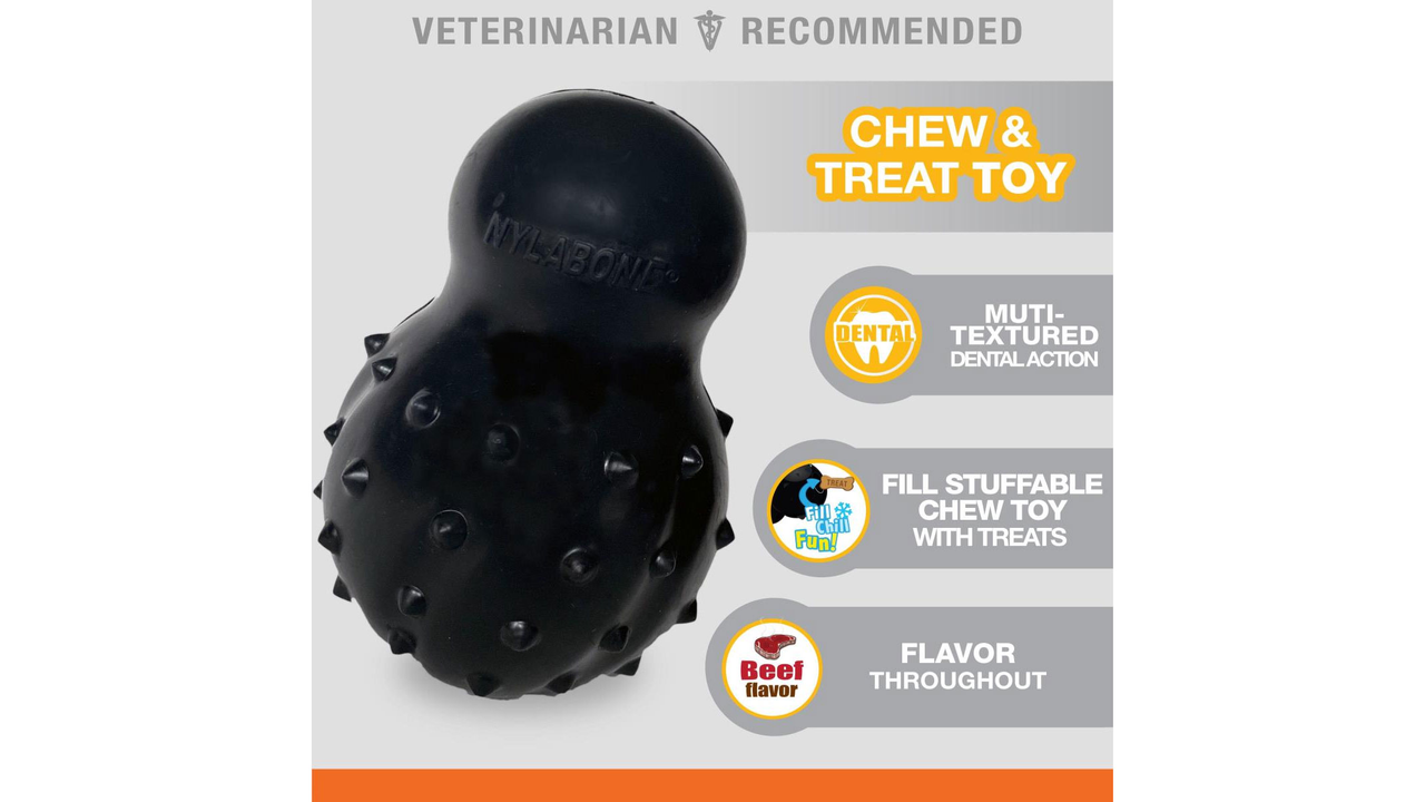 Nylabone Strong Max Chew Stuffable Cone
