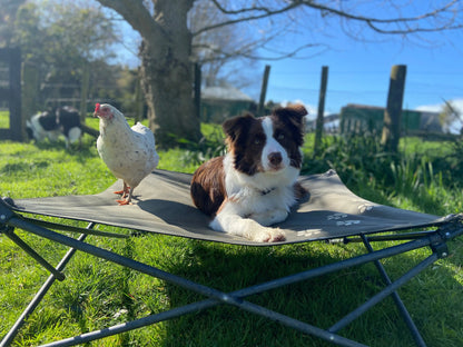 Folding/Camping Dog Bed - Outdoor Connection