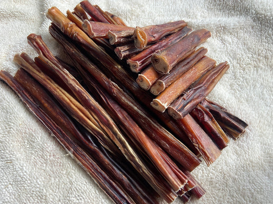 Beef Pizzle Chew/Bully Stick