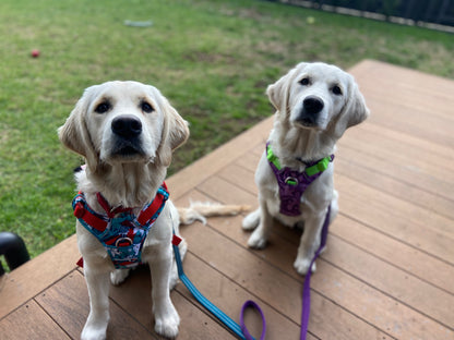 Adjustable Dog Harness - True Love