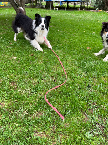 BioThane "Catch" Dog Lead (13mm)-Shine Canine-1.2m-Shine Pets