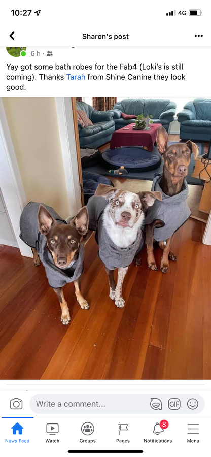 Bathrobe for dogs - Grey