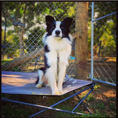 Folding/Camping Dog Bed - Outdoor Connection