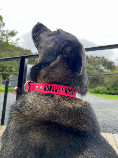 BioThane Dog Collar - Classic Buckle - Custom Single Colour