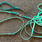 Longline attached to a multifunction lead with an optional removable handle