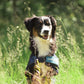 “Cool On Track” Dog Cooling Coat