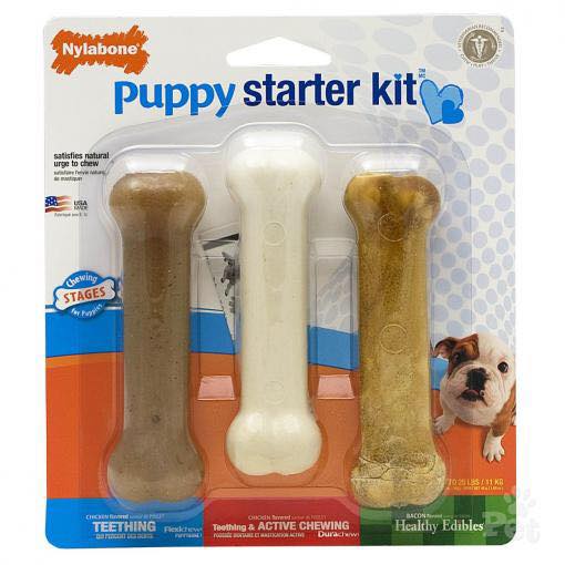 Nylabone Puppy Chew Starter Kit 11cm Shine Pets